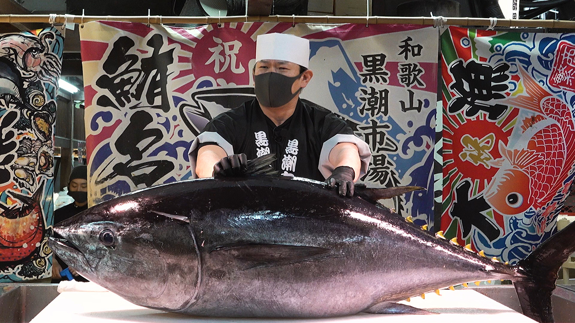 マグロ解体