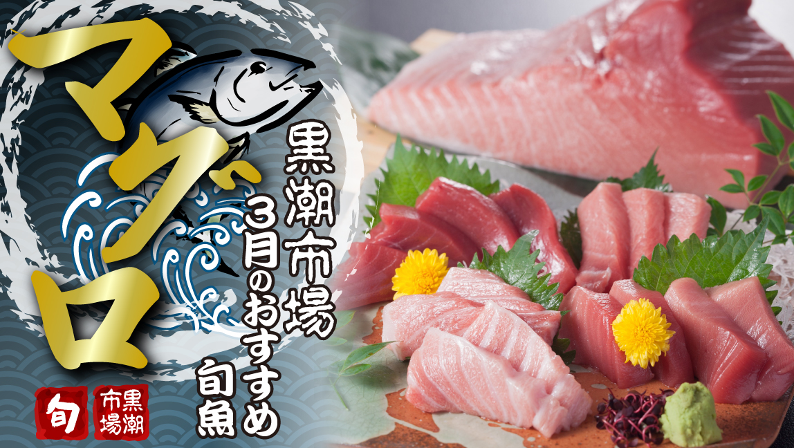 黒潮市場の旬の魚　3月は「マグロ」